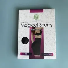 Magical Sherry 骨盤ショーツ Mサイズ ブラックのサムネイル