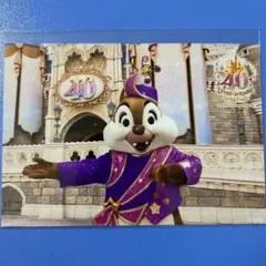 ディズニー TDL スペシャルフォト 2024 40周年 デール