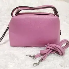 【美品】ジャンニキャリーニ アリファ S ショルダーバッグ 2way ピンク