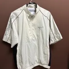 Item thumbnail for item d395d2c6-4192-41c2-ad60-d1065d465df2