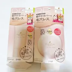 毛穴パテ職人SANA（サナ）パウダー＆クリーム2点セット