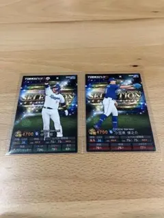 けんけん様 リクエスト 2点 まとめ商品