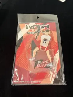 ハイキュー　合同練習会2020 JUMPSHOP 孤爪研磨