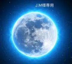 J.M様専用ページ✨