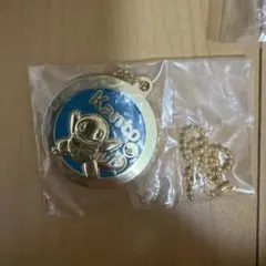 ポケモン カントー地方 メタルチャーム ゼニガメ キーホルダー