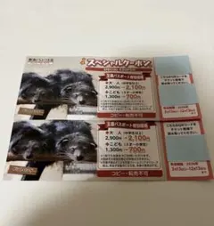 那須どうぶつ王国 スペシャルクーポン2枚のサムネイル