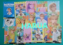 &TEAM HARUA ハルア シーグリ2025 カレンダー切り抜き