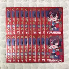 ちきん様 リクエスト 2点 まとめ商品