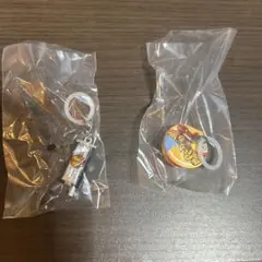 めじるしアクセサリー 仮面ライダー