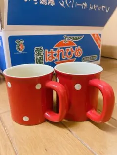 マグカップ　食器　2個まとめ売り