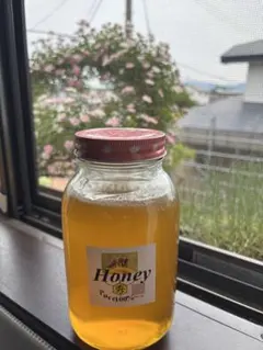 No.14　★日本蜜蜂のはちみつ★1200gx(2瓶) No.14 ☆日本蜜蜂のはちみつ☆1200gx(2瓶) - メルカリ