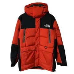 THE NORTH FACE SUMMIT SERIES 最高級ダウンジャケット