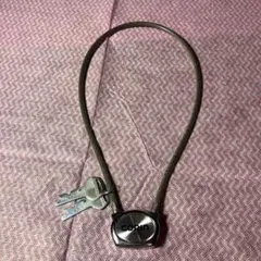 Item thumbnail for item 85b75031-6c62-46b5-bcab-93f75acea2dc