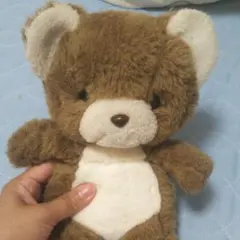 クマ ぬいぐるみ