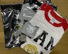 SIAMSHADE　グッズセット