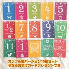 ハンドメイド☆素敵すぎる☆北欧デザイン☆月齢カード☆マンスリーカード☆15枚