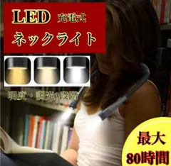 Item thumbnail for item 9845ccdd-04ee-4244-b696-00a4cec040b5