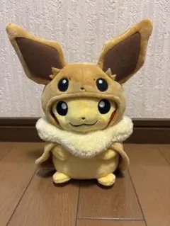 ポケットモンスター　ポケモンセンター　ブイズ　ポンチョ　新品　未使用 ポケットモンスター ポケモンセンター ブイズ ポンチョ 新品 未