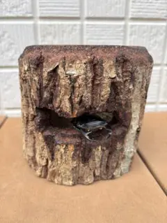 Item thumbnail for item cd6de619-becc-4721-a69b-13dba298e512