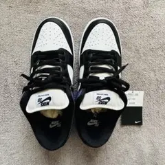 ✴︎未使用品(替え紐無)✴︎Nike SB Dunk Low Pro