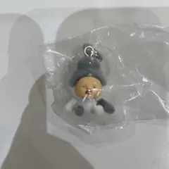 こびとづかん　めじるしフレンズ2 カクレケダマ（ねこ）