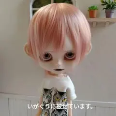 ☆*☆様 アイシードール本体男の子　ボアウィッグ　OF付き 黒猫 アイシードール本体男の子 ボアウィッグ OF付き 黒猫 アイシー