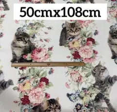 aaaa*\(^o^)/*様専用