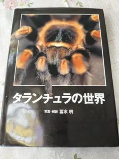 2026年最新】タランチュラの世界の人気アイテム - メルカリ