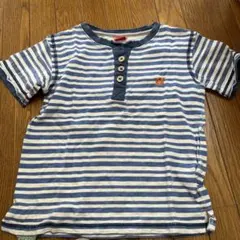 青と白のストライプ Tシャツ