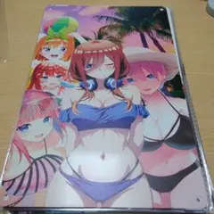 カモノハシ太郎様 リクエスト 2点 まとめ商品