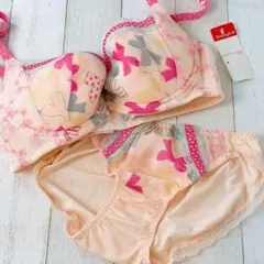 トリンプ E70/ Mサイズ ブラセット リボン柄 ドットのサムネイル