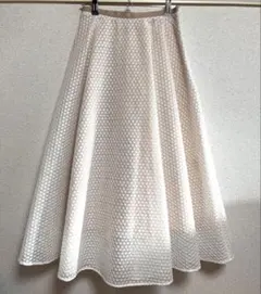 DEICY プチフローラエンブロイダリースカート