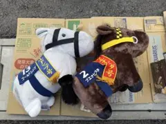 サラブレッドコレクション ふわふわBIGぬいぐるみ 【2点セット】