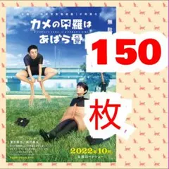 １５０ カメの甲羅はあばら骨 第1弾 フライヤー