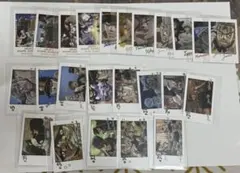 ジョジョの奇妙な冒険 キャラポトレ スターダストクルセイダース 24種フルコンプ