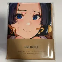 633PRONIKE キャラクタータオル 105×55cm