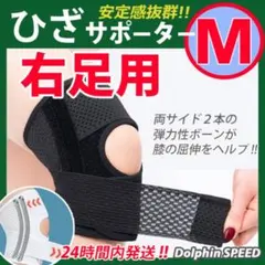 Item thumbnail for item 850a23b8-75e0-4efc-91a7-751b67f2a7ee