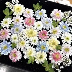 Ｕu様 リクエスト 2点 まとめ商品