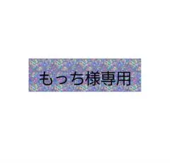 もっち様専用ページ