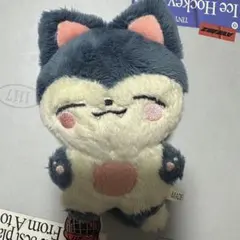 2026年最新】バンチャン ぬいぐるみ マスターの人気アイテム - メルカリ
