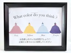 ウェディング ドレス色当てクイズ用ボード