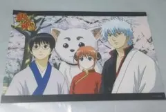 銀魂　ブロマイド　銀時　神楽　定春　銀魂展　202604031219 銀魂 ブロマイド 銀時 新八 神楽 定春 銀魂展 202604021853 - メルカリ
