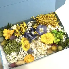 ドライフラワー　　詰め合わせ