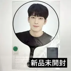 8月中値下げ 新品未開封 SEVENTEEN ウォヌ うちわ ピケット ケレン