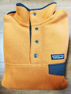 〈パタゴニア〉シンチラスナップT フリース