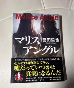 マリスアングル