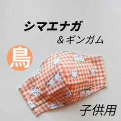 Item thumbnail for item ba1ee221-a503-419c-b5f4-278e149d6acb