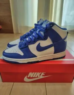 Nike Dunk High 