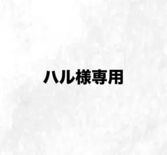 ハル様専用ページ
