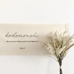 Item thumbnail for item caa43c3a-f5db-41f8-b8f6-3c713a3db09d